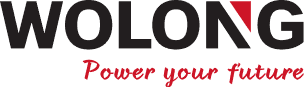 Wolong logo